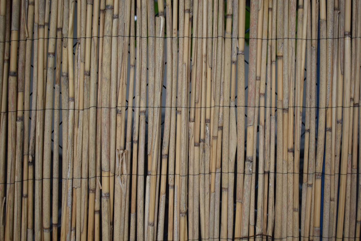 a close up of a bamboo fence